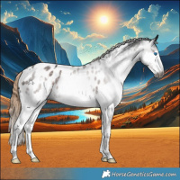Horse Color:Gray White Spotted Liver Chestnut Sabino Splash Near Leopard 