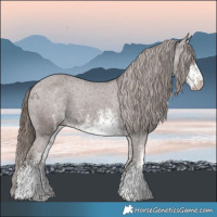 Horse Color:White Spotted Liver Chestnut Appaloosa Rabicano 
