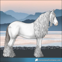 Horse Color:White Spotted Liver Chestnut Appaloosa Rabicano 