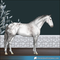 Horse Color:Gray White Spotted Liver Chestnut Blanket Rabicano 