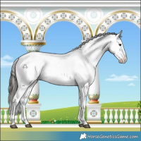 Horse Color:White Spotted Liver Red Dun Appaloosa 