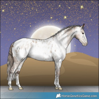 Horse Color:Gray White Spotted Grullo Pearl Sabino Appaloosa Rabicano 