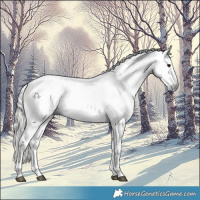 Horse Color:Gray White Spotted Silver Black Snowflake VarnishRabicano 