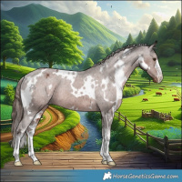 Horse Color:White Spotted Liver Chestnut Appaloosa Rabicano 