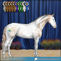 Horse Color:White Spotted Gold Champagne Dun Splash Tobiano Rabicano