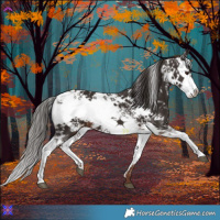 Horse Color:Liver Chestnut Sabino 