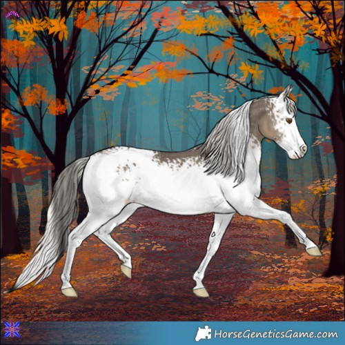 Horse Color:White Spotted Silver Smoky Grullo Splash 