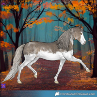 Horse Color:White Spotted Silver Smoky Grullo Splash 