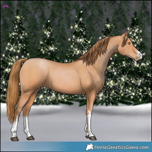 Horse Color:White Spotted Bay Pearl 