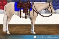 Horse Color:Chocolate Palomino Pearl Tobiano Frame  and Chocolate Palomino Pearl Tobiano Frame 