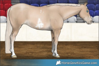 Horse Color:Chocolate Palomino Pearl Tobiano Frame  and Chocolate Palomino Pearl Tobiano Frame 
