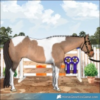 Horse Color:Brown Dun Tobiano Rabicano 