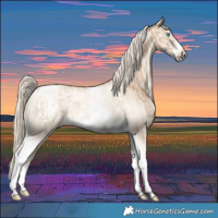 Horse Color:Chocolate Palomino Pearl Tobiano Frame  and Chocolate Palomino Pearl Dun Tobiano Frame 