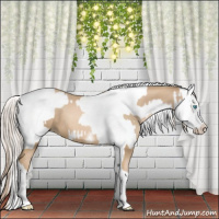 Horse Color:Chocolate Palomino Pearl Tobiano Frame  and Chocolate Palomino Pearl Tobiano Frame 