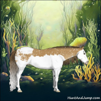 Horse Color:Buckskin Splash Snowcap 