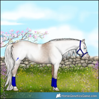 Horse Color:Gray Silver Smoky Creme Tobiano 