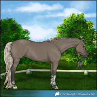 Horse Color:Gray Silver Smoky Grullo Tobiano 