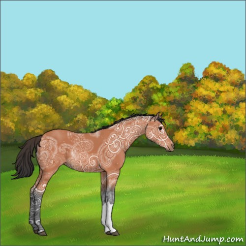Horse Color:Bay Ice 