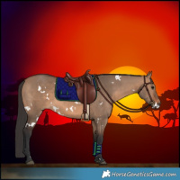 Horse Color:White Spotted Brown Dun 