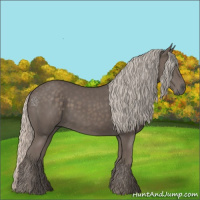 Horse Color:Silver Black 
