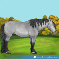 Horse Color:Bay Chinchilla 
