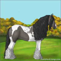 Horse Color:Grullo Tobiano 