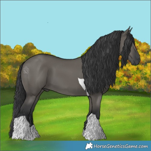 Horse Color:Grullo Tobiano 