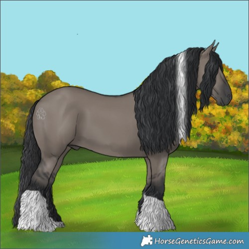 Horse Color:Grullo Tobiano 