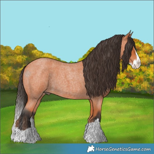 Horse Color:Bay Roan Splash 