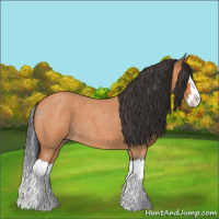 Horse Color:Bay Roan Splash 