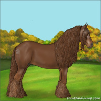 Horse Color:Gray Chestnut 