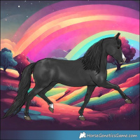 Horse Color:Black Splash 