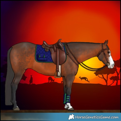 Horse Color:Brown Sabino 