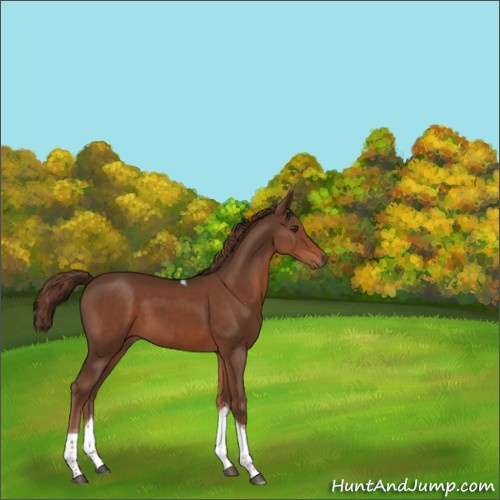 Horse Color:Liver Chestnut Tobiano 