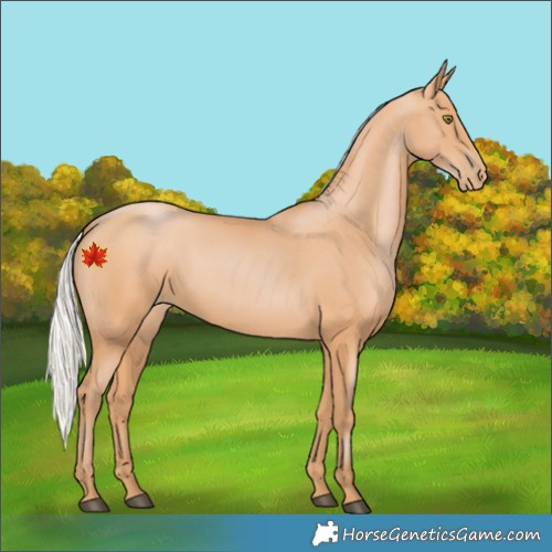 Horse Color:Silver Bay Pearl 