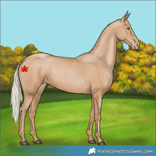 Horse Color:Silver Black Pearl 