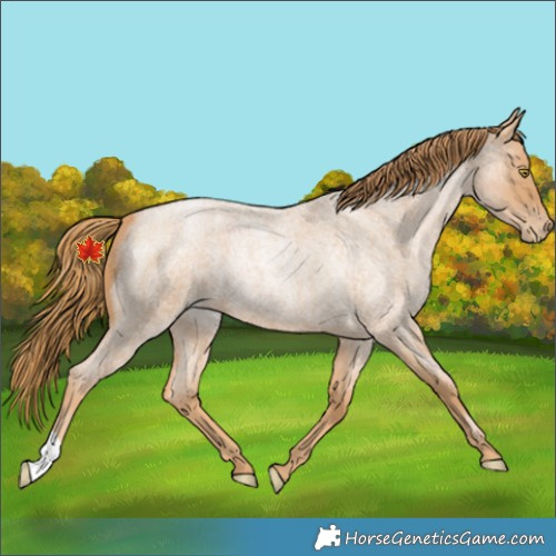 Horse Color:Red Roan Pearl 