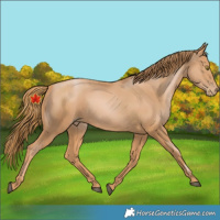 Horse Color:Chestnut Pearl 