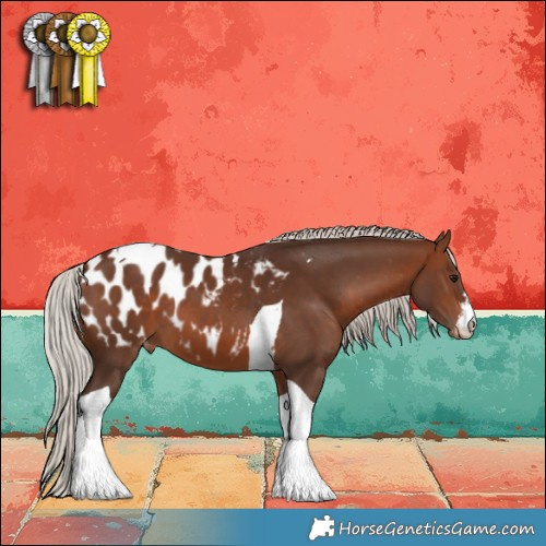 Horse Color:White Spotted Silver Brown Tobiano Appaloosa 