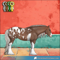 Horse Color:White Spotted Silver Brown Tobiano Blanket 