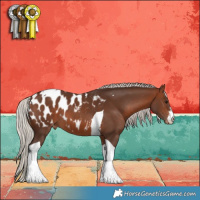 Horse Color:White Spotted Silver Brown Tobiano Appaloosa
