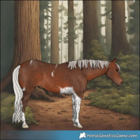 Horse Color:Silver Brown Tobiano 