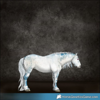 Horse Color:Nacre Watercolor White Spotted Silver Brown Chinchilla Onyx Rabicano Brindle