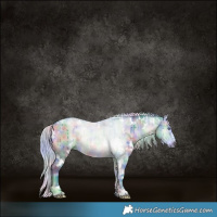 Horse Color:Nacre Watercolor White Spotted Silver Brown Chinchilla Onyx Rabicano Brindle 