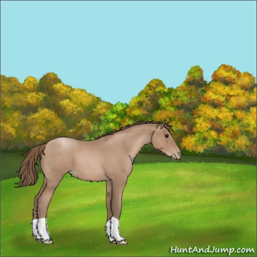 Horse Color:Blue Roan Pearl 