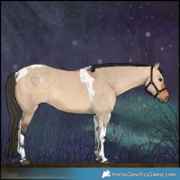 Horse Color:Bay Dun Tobiano 