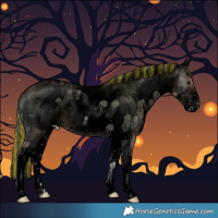Horse Color:Void Painted White Spotted Blue Onyx Pearl Appaloosa Rabicano 