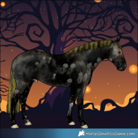 Horse Color:Void Painted White Spotted Blue Onyx Pearl Varnish Rabicano 