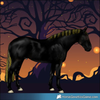 Horse Color:Void Painted White Spotted Blue Onyx Pearl Appaloosa Rabicano