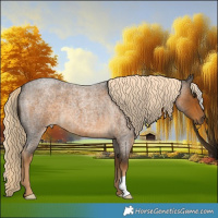 Horse Color:Chocolate Palomino Roan 